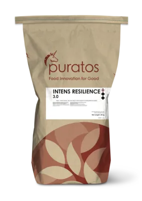 Intens Resilience