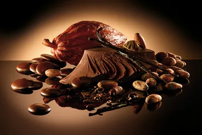 PURATOS COCOA POWDER