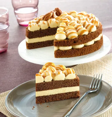 Tegral Satin Moist Mocha Cake