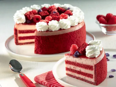 TEGRAL SATIN MOIST RED VELVET