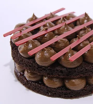 TEGRAL SATIN MOIST CHOCOLATE CAKE