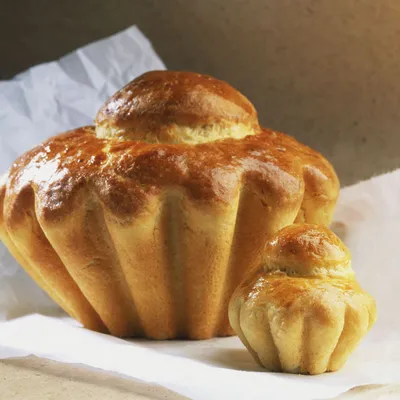 Sourdough Grain Brioche