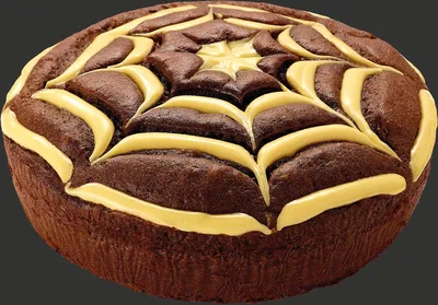 Choco Web Cake