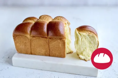 Intens Egg Replacement