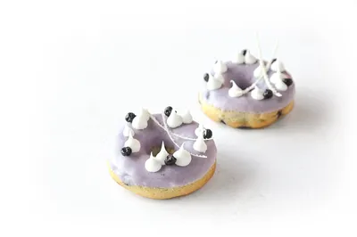 Blueberry Duffin