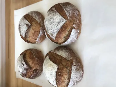  Sprouted Grain And Walnut